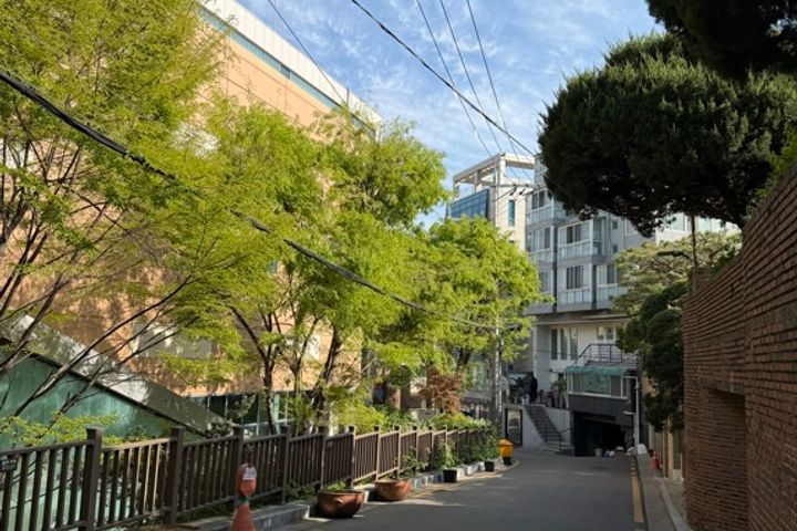 Haus of Mori 18번째 이미지