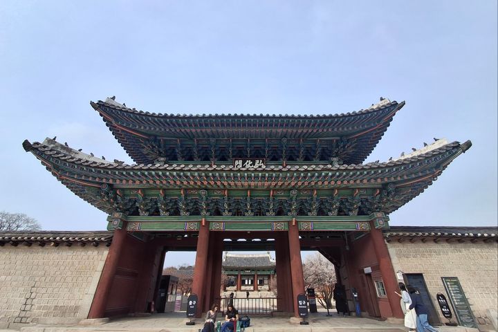 혜화역/서울대병원/5분 14번째 이미지