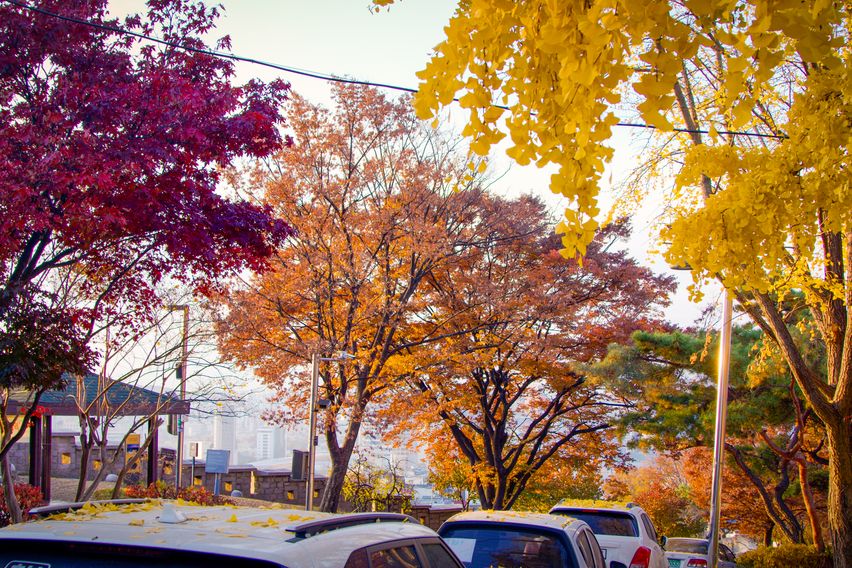 낙산힐링하우스 101호 14번째 이미지