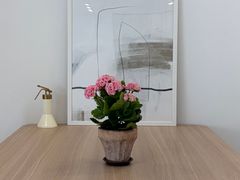 오산 고인돌공원 숙소 16번째 이미지