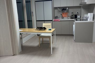 Newly built apartment