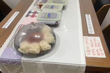 조중석식제공 맛있어요