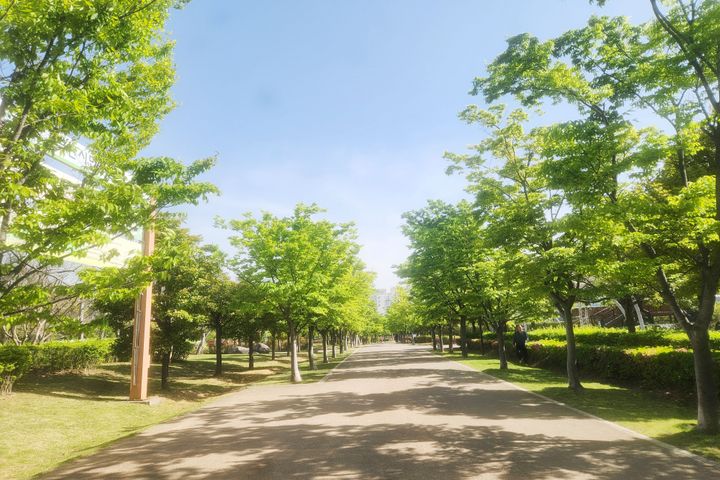 ☆100% 공원뷰 ☆ 17번째 이미지