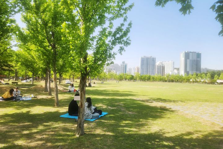 ☆100% 공원뷰 ☆ 14번째 이미지