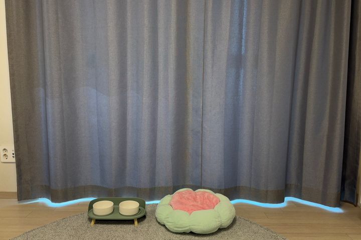 ❤️반려견동반D❤️ 5번째 이미지