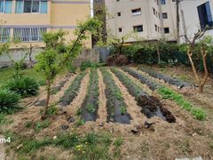 텃밭과 함께하는 힐링 13번째 이미지