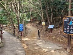 힐링 산림욕 바다 둘이 16번째 이미지