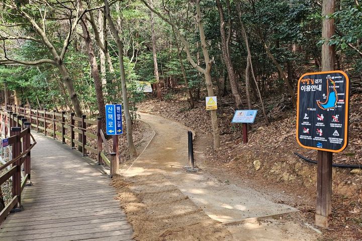 힐링 산림욕 바다 둘이 16번째 이미지