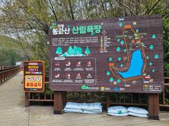 힐링 산림욕 바다 둘이 17번째 이미지