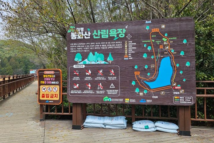 힐링 산림욕 바다 둘이 17번째 이미지