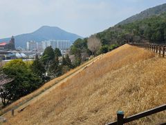 힐링 산림욕 바다 둘이 4번째 이미지