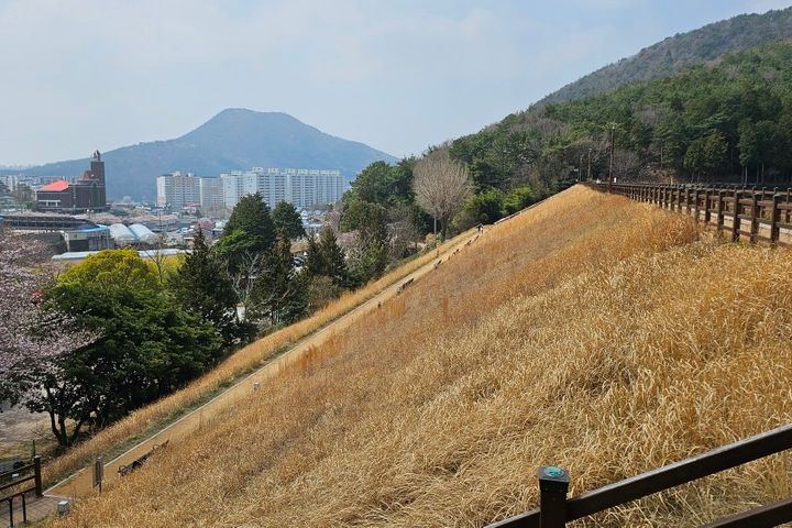 힐링 산림욕 바다 둘이 4번째 이미지