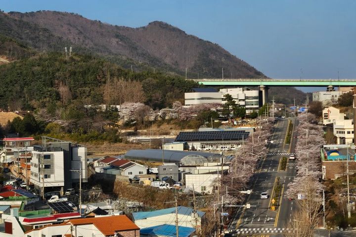 힐링 산림욕 바다 둘이 19번째 이미지