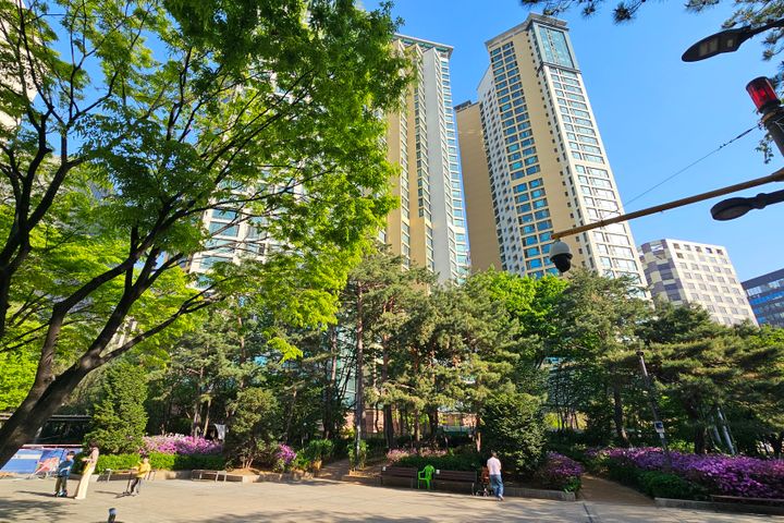 🌻마포/여의도/한강❤️ 18번째 이미지