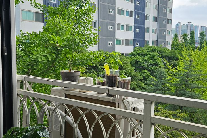 판교/정자/수내/풀옵션 2번째 이미지