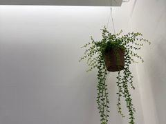 106호 1번째 이미지
