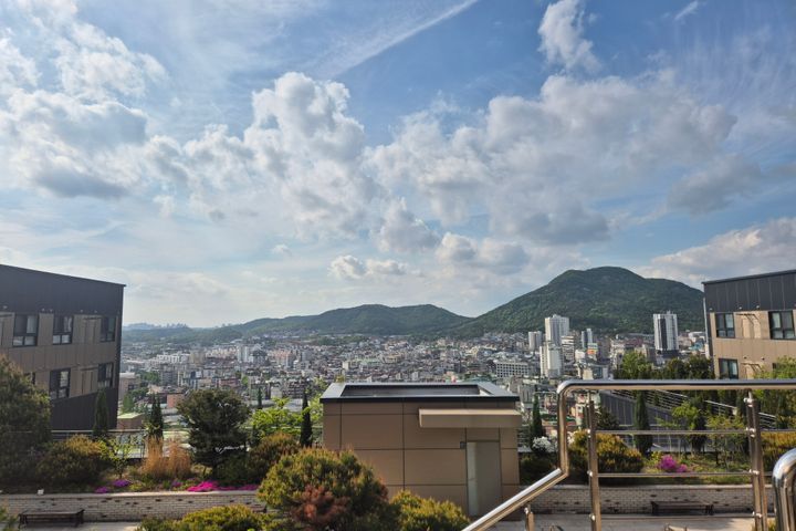 옥상정원 14번째 이미지