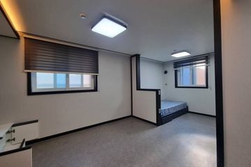 204호