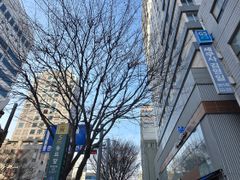 동묘역3초동대문3분신축 19번째 이미지
