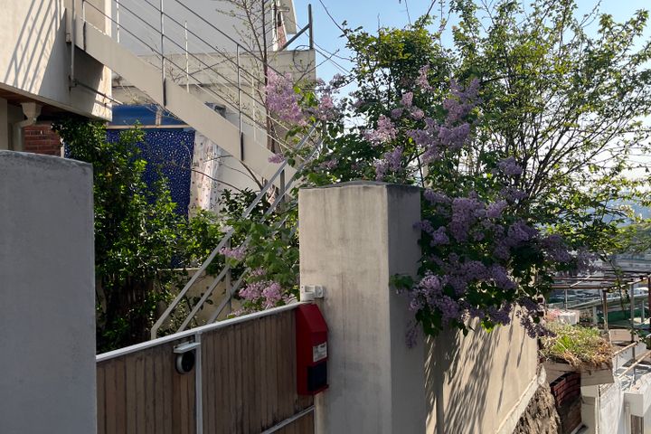 작가의방 8번째 이미지