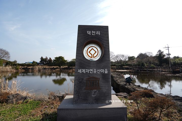 동백정원방 19번째 이미지