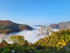 청량산 절경 숲치유캠프 0번째 이미지