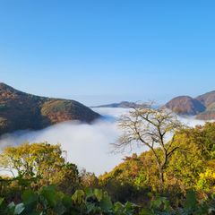 청량산 절경 숲치유캠프 방 이미지