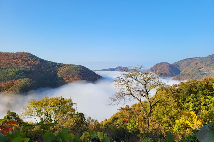 청량산 절경 숲치유캠프 0번째 이미지