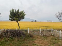 삽교시골집-예산홍성내포 17번째 이미지