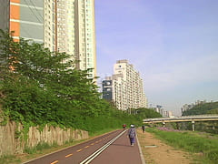 Mirae Building, Suite 401 1th image
