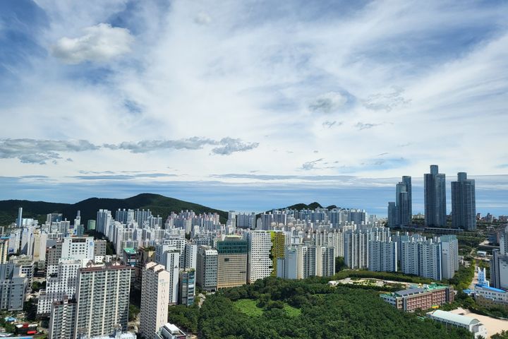 화이트 18번째 이미지