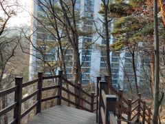 Persimmon Tree Villa, Bukhansan (3 Guests) 12th image