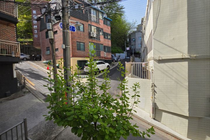 국사봉 바로 아래 10번째 이미지