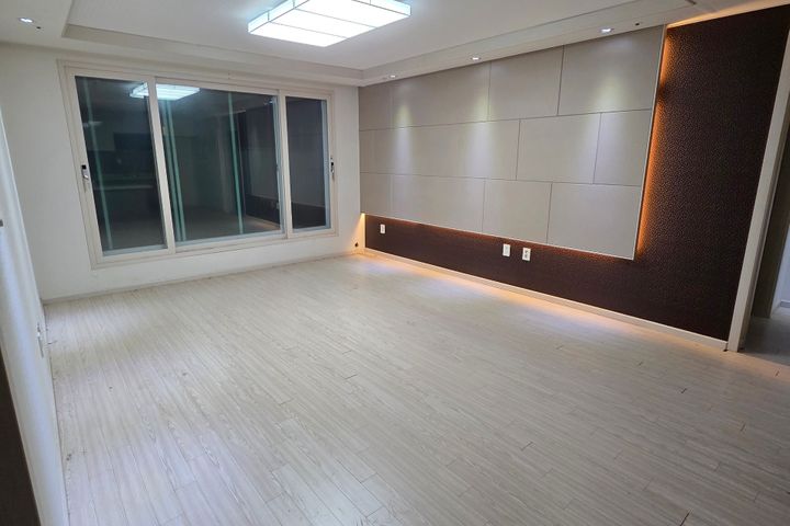 솔리채 0번째 이미지
