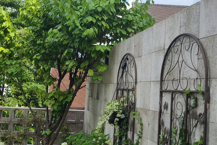 구름 정원 17번째 이미지
