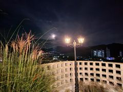 구름 정원 19번째 이미지