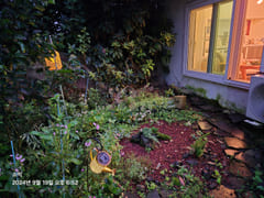 Stone house with a yard in the Jeju countrysi 15th image