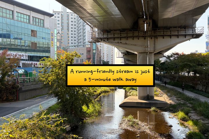 ⭐태릉.신내.공릉.주차 19번째 이미지