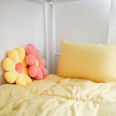 중앙대 저상침대방2인실 방 이미지