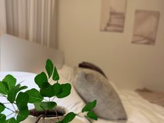 Nest Seoul 7번째 이미지