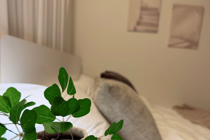 Nest Seoul 7번째 이미지