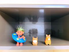 서귀포시 강정동 9번째 이미지