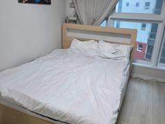 깔끔한 중동투베드 오피 2번째 이미지