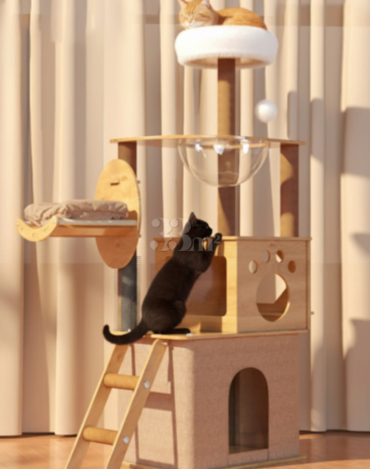 4th floor with a pet cat 11th image
