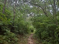산소도시 힐링하우스 11번째 이미지