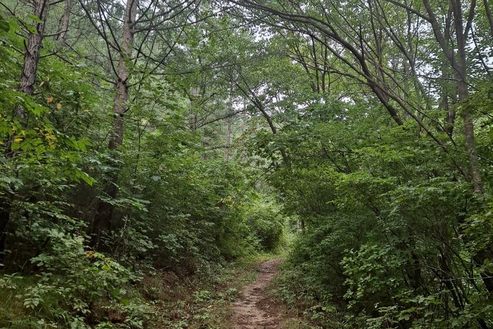 산소도시 힐링하우스 11번째 이미지