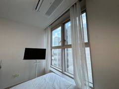 모란꽃 0번째 이미지