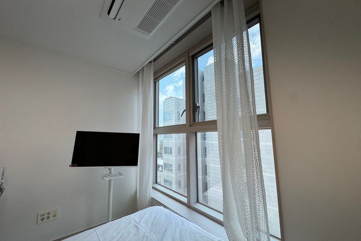 모란꽃 0번째 이미지