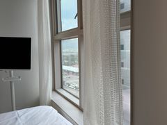 모란꽃 3번째 이미지