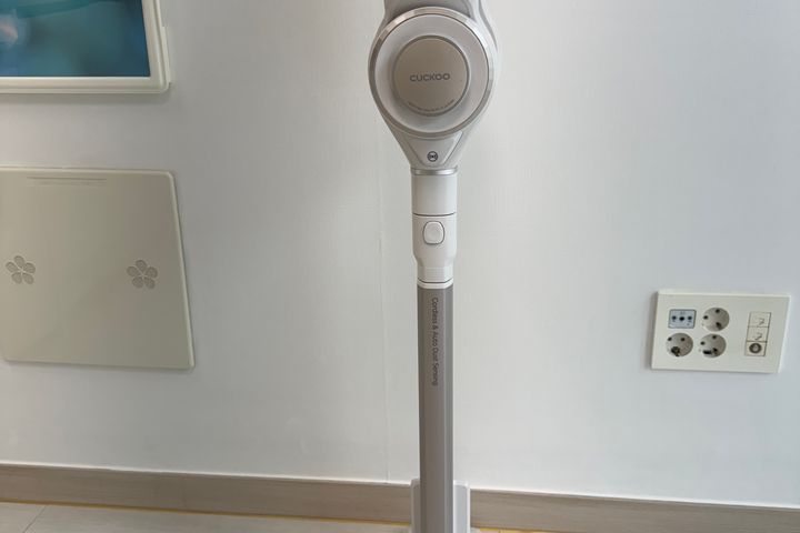 모란꽃 8번째 이미지